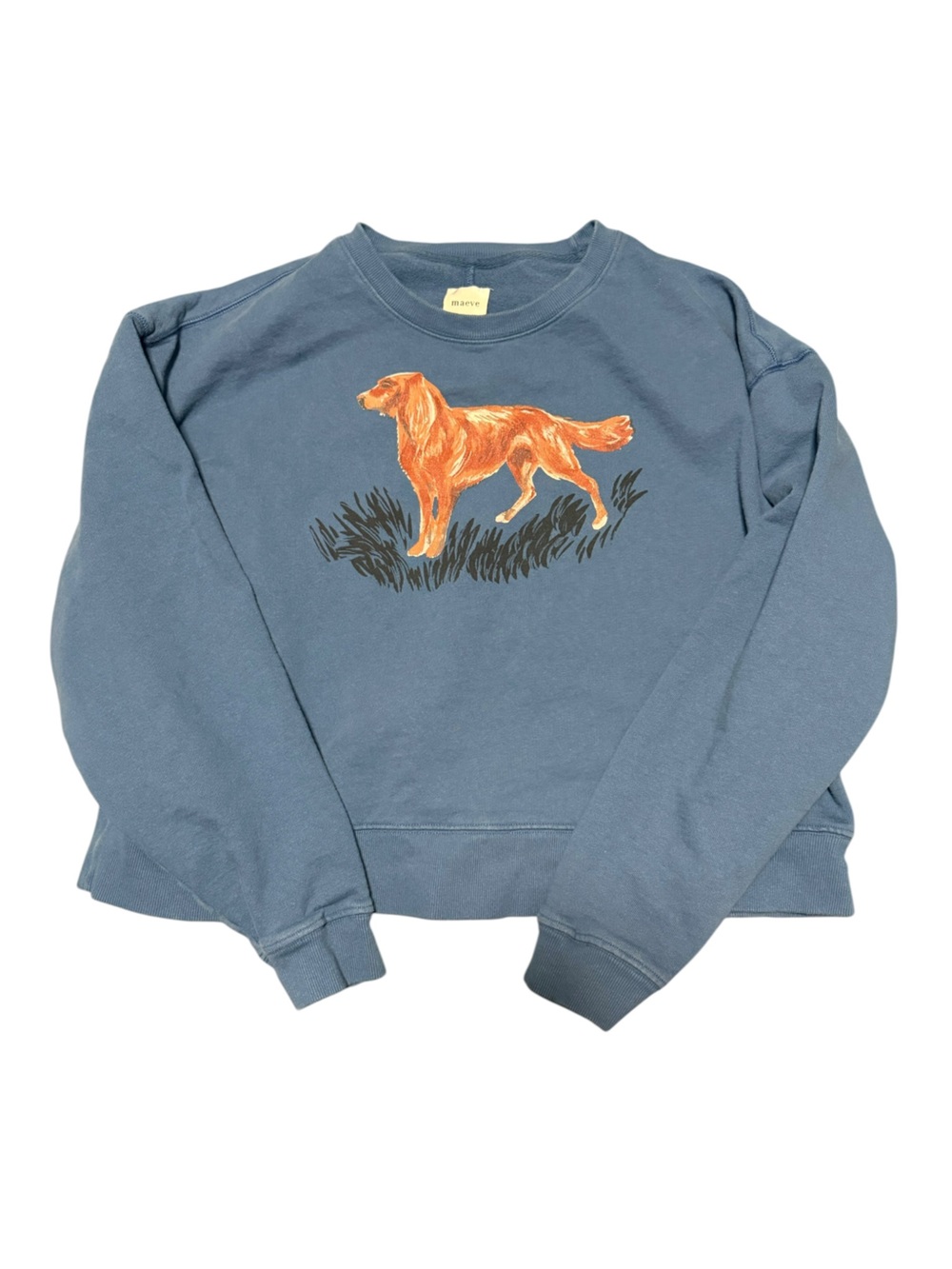Anthropologie Maeve Best In Show Golden Retriever Dog Graphic Sweatshirt Blue XS - Picture 2 of 6